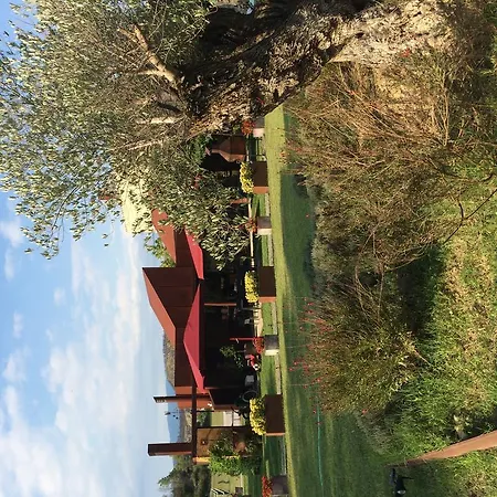 El Molino * Las Escaulas